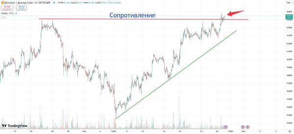 Приток капитала в биткоин-ETF достиг $365,7 млн 26 сентября