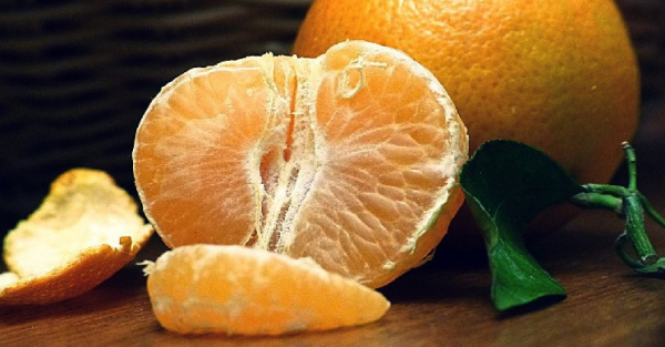 Bitcoin Rollup Citrea развертывает мост на основе BitVM &laquo;Clementine&raquo; в тестовой сети
